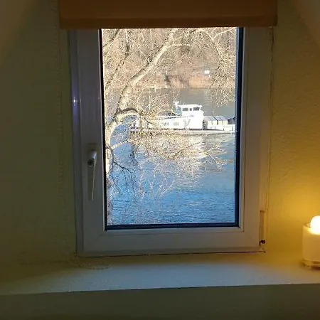 Rheinblick