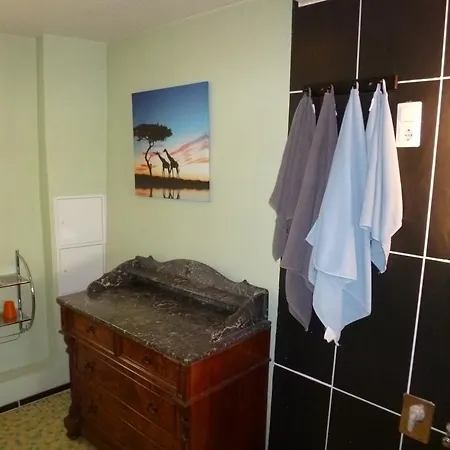 Rheinblick كوبلنس