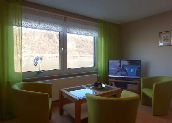 Rheinblick * Koblenz (Rhineland-Palatinate)