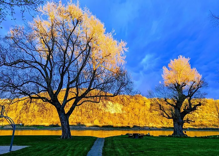 아파트 Rheinblick